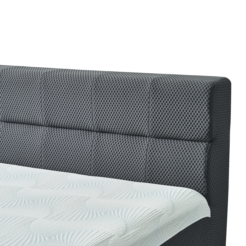 Gray Phaf Queen Size Serena bed with sleek headboard and modern design, showcasing a stylish and comfortable bedroom furniture piece.
