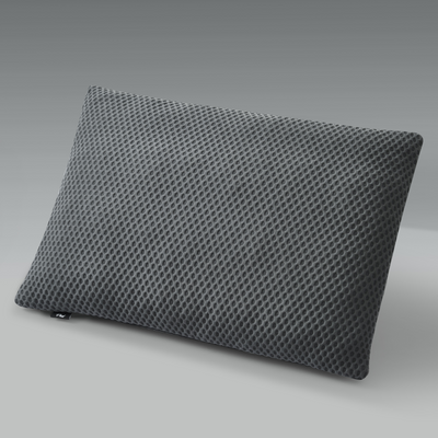 Gray Cusheez Pillows 2-Pack by Phaf, soft and comfortable with plush fabric, perfect for cozy home decor or sleeping comfort.